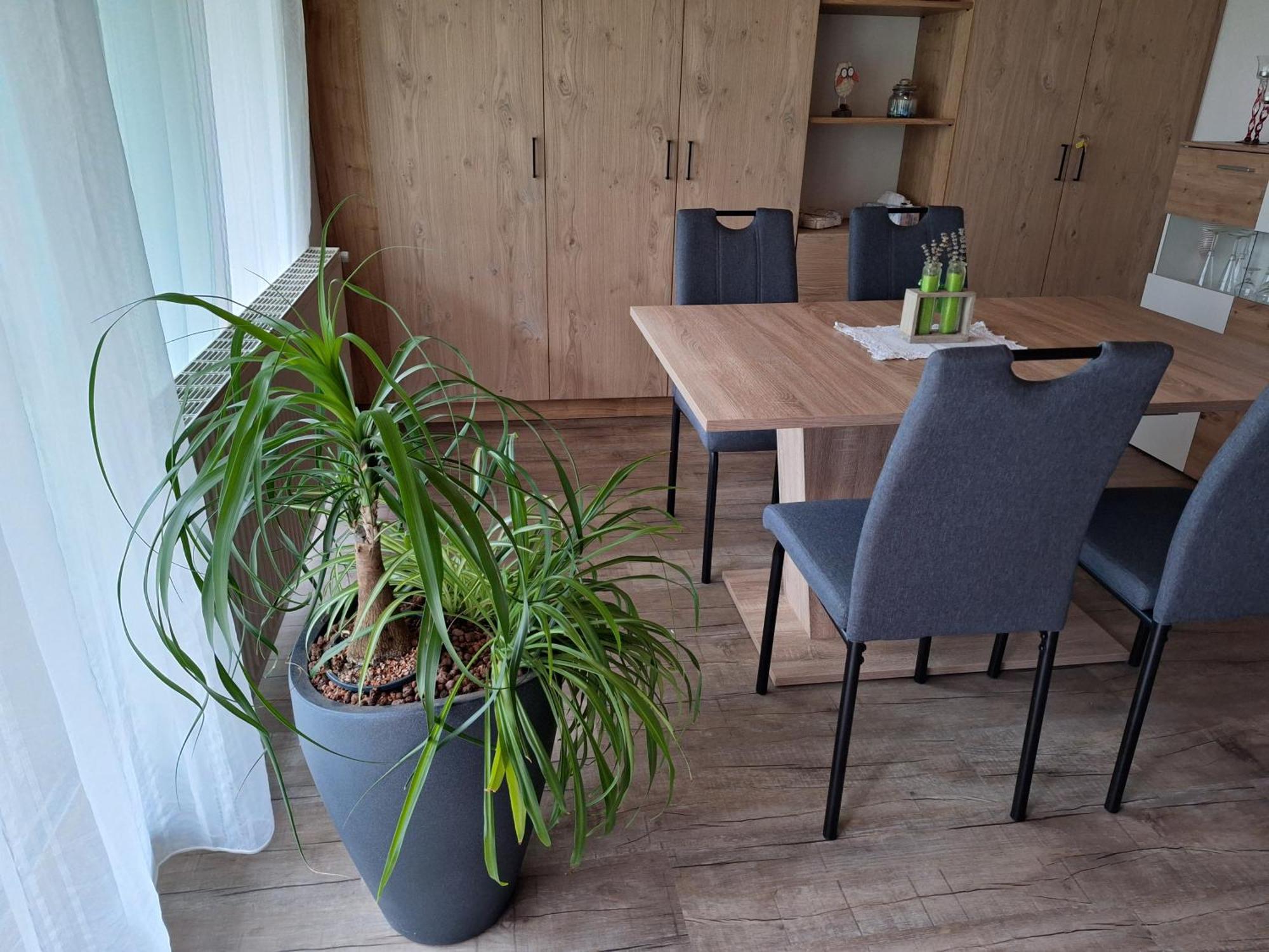 Apartment Eva Sautens Dış mekan fotoğraf